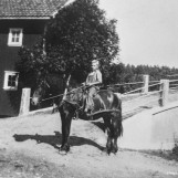 Odelsgutten på hesteryggen