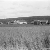 Knatterud-gårder ble delt