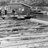 Mosing av tømmer 1955.