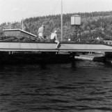 Sortering av tømmer 1955.