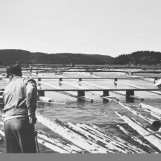 Lensearbeidere 1930-åra.