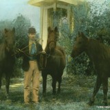 Forpakter på prestegården