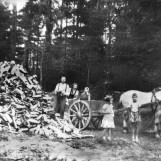 Vinterveden skal sikres