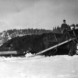 Møkkakjøring med breislae