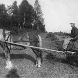 Slåttonn på gamlemåten