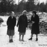 Inspiserer den nye Revelsby-veien