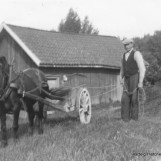 Johan Kingsrød med Svarten