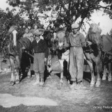 Potetavlingen skal i hus