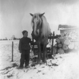 Tidlig krøkes innen transport