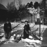 Brødre i lek i snøen på Tangen