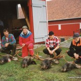 Jaktutbyttet ble fire elgokser