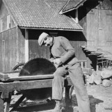 Sagbladet files på Vestre Bergerud
